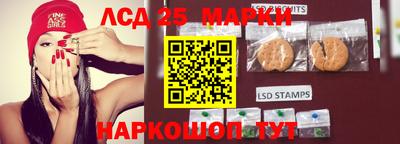 jwh Камышлов