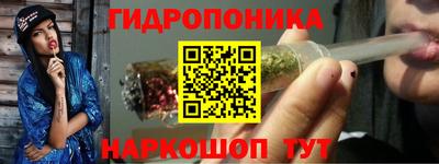 PSILOCYBIN Кандалакша