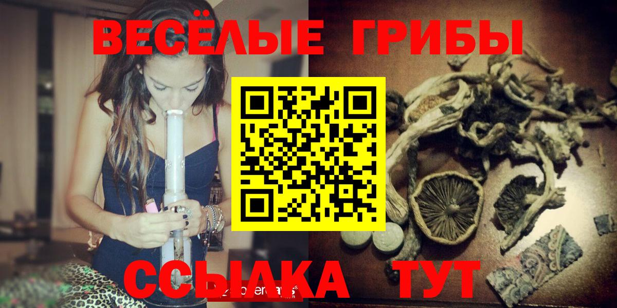 Кимры  Галлюциногенные грибы MAGIC MUSHROOMS  Вход с VPN  Галлюциногенные грибы GOLDEN TEACHER 