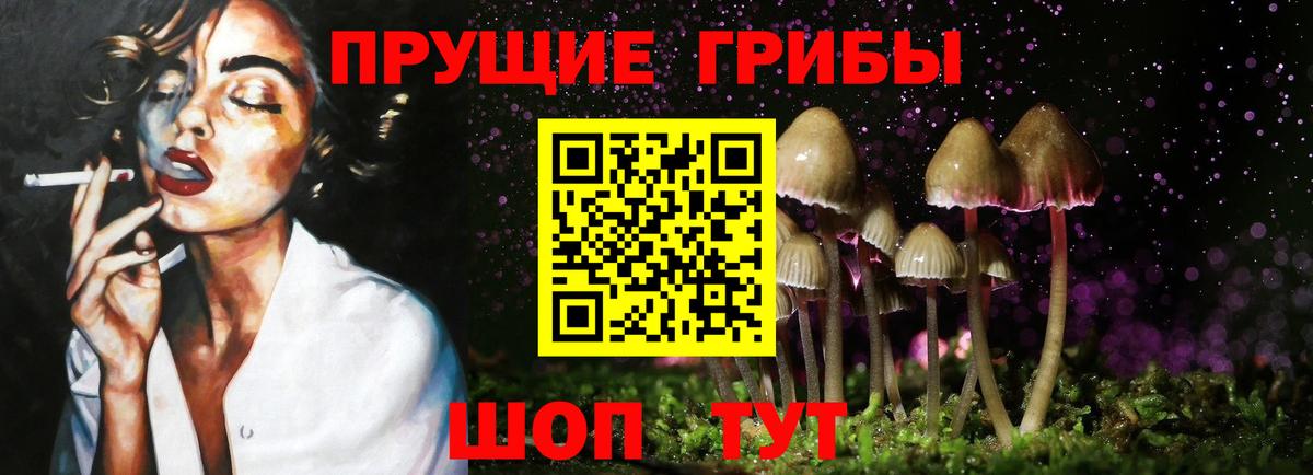 Псилоцибиновые грибы Magic Shrooms Кимры
